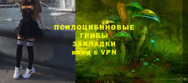 мдпв Вуктыл